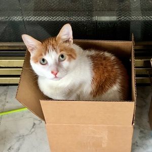 Meet your Posher, Taylor